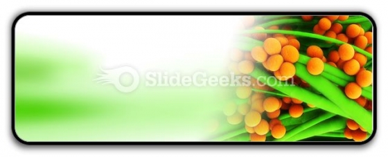 Staphylococcus Science PowerPoint Icon R