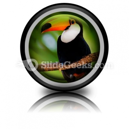 Toucan PowerPoint Icon Cc Toucan PowerPoint Icon Cc