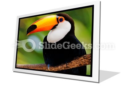 Toucan PowerPoint Icon F Toucan PowerPoint Icon F