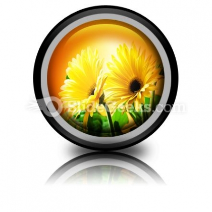 Yellow Daises PowerPoint Icon Cc Yellow Daises PowerPoint Icon Cc