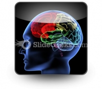 Brain PowerPoint Icon S