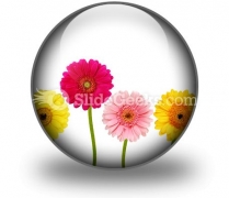 Flowers Nature PowerPoint Icon C