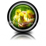 Gosling PowerPoint Icon Cc Gosling PowerPoint Icon Cc