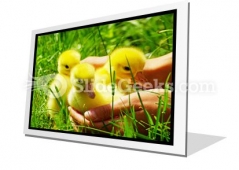 Gosling PowerPoint Icon F Gosling PowerPoint Icon F