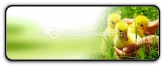 Gosling PowerPoint Icon R Gosling PowerPoint Icon R