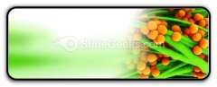 Staphylococcus Science PowerPoint Icon R Staphylococcus Science PowerPoint Icon R