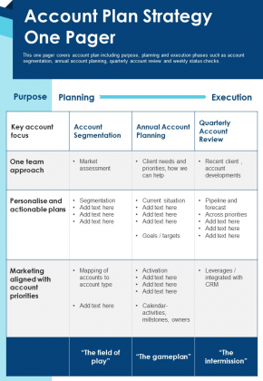 Account Plan Strategy One Pager PDF Document PPT Template