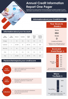 Annual Credit Information Report One Pager PDF Document PPT Template