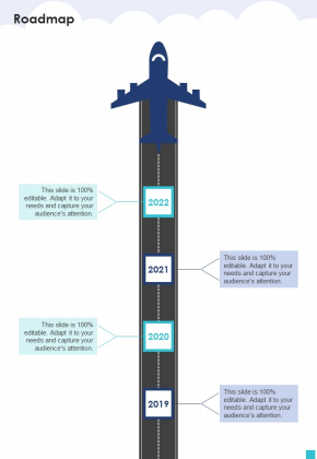 Aviation Services Management Roadmap One Pager Sample Example Document