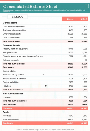 Consolidated Balance Sheet Template 15 One Pager Documents