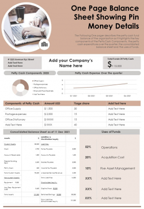 One Page Balance Sheet Showing Pin Money Details PDF Document PPT Template