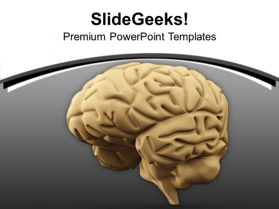 3d Illustration Of A Human Brain PowerPoint Templates Ppt Backgrounds For Slides 0713 3d Illustration Of A Human Brain PowerPoint Templates Ppt Backgrounds For Slides 0713