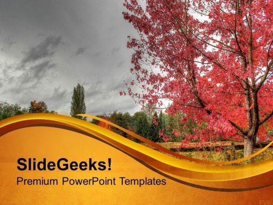 Amazing Autumn Scene PowerPoint Templates Ppt Backgrounds For Slides 0513