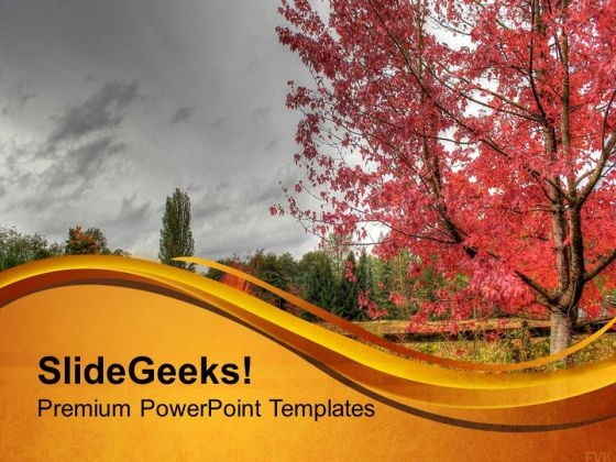 Amazing Autumn Scene PowerPoint Templates Ppt Backgrounds For Slides 0513 Amazing Autumn Scene PowerPoint Templates Ppt Backgrounds For Slides 0513