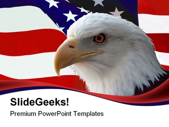 American Bald Eagle Animals PowerPoint Themes And PowerPoint Slides 0611 American Bald Eagle Animals PowerPoint Themes And PowerPoint Slides 0611