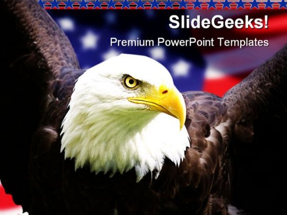 American Eagle Animals PowerPoint Template 1010 American Eagle Animals PowerPoint Template 1010