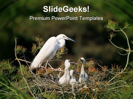 Animals On Tree Nature PowerPoint Themes And PowerPoint Slides 0211 Animals On Tree Nature PowerPoint Themes And PowerPoint Slides 0211