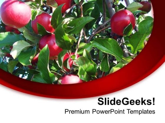Apples Are Good For Health PowerPoint Templates Ppt Backgrounds For Slides 0613 Apples Are Good For Health PowerPoint Templates Ppt Backgrounds For Slides 0613