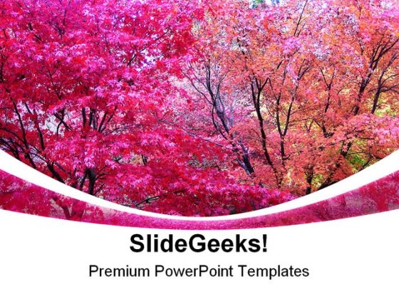 Autumn Colours Nature PowerPoint Templates And PowerPoint Backgrounds 0211
