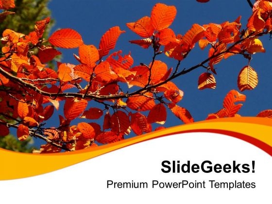 Autumn Fall Nature PowerPoint Templates Ppt Backgrounds For Slides 0513 Autumn Fall Nature PowerPoint Templates Ppt Backgrounds For Slides 0513
