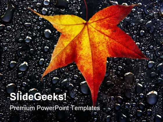 Autumn Leaves01 Nature PowerPoint Themes And PowerPoint Slides 0511 Autumn Leaves01 Nature PowerPoint Themes And PowerPoint Slides 0511