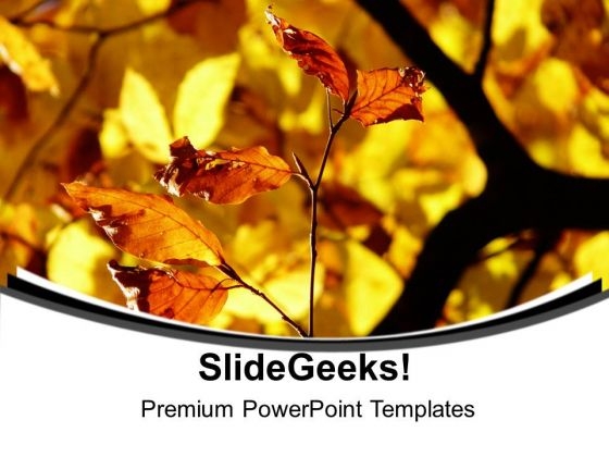 Autumn Leaves Abstract Background PowerPoint Templates Ppt Backgrounds For Slides 0613 Autumn Leaves Abstract Background PowerPoint Templates Ppt Backgrounds For Slides 0613