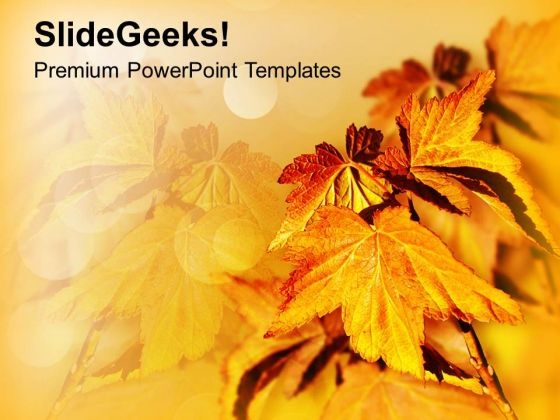 Autumn Leaves Background Beauty PowerPoint Templates Ppt Backgrounds For Slides 0213 Autumn Leaves Background Beauty PowerPoint Templates Ppt Backgrounds For Slides 0213