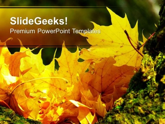 Autumn Leaves Fall Beautiful Theme PowerPoint Templates Ppt Backgrounds For Slides 0613 Autumn Leaves Fall Beautiful Theme PowerPoint Templates Ppt Backgrounds For Slides 0613