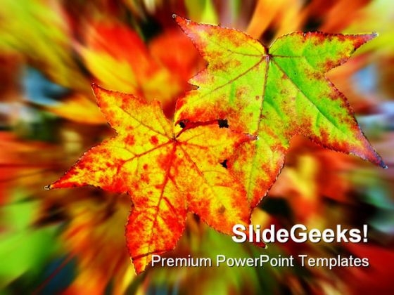 Autumn Leaves Nature PowerPoint Template 0610