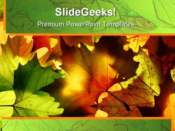 Autumn Leaves Nature PowerPoint Templates And PowerPoint Backgrounds 0511