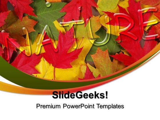 Autumn Leaves Nature PowerPoint Templates And PowerPoint Themes 0312