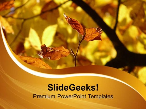 Autumn Leaves PowerPoint Templates Ppt Backgrounds For Slides 0513 Autumn Leaves PowerPoint Templates Ppt Backgrounds For Slides 0513