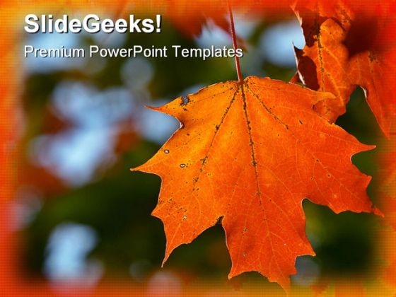 Autumn Maple Leaf Nature PowerPoint Template 1010 Autumn Maple Leaf Nature PowerPoint Template 1010