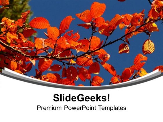 Autumn With Flowers Theme Background PowerPoint Templates Ppt Backgrounds For Slides 0513 Autumn With Flowers Theme Background PowerPoint Templates Ppt Backgrounds For Slides 0513