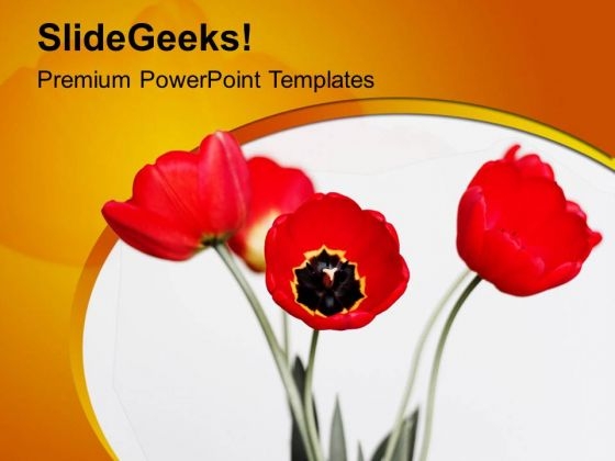 Awesome Spring Flowers Joyous Theme PowerPoint Templates Ppt Backgrounds For Slides 0613 Awesome Spring Flowers Joyous Theme PowerPoint Templates Ppt Backgrounds For Slides 0613