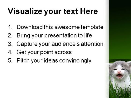 baby_cat_animals_powerpoint_themes_and_powerpoint_slides_0211_print