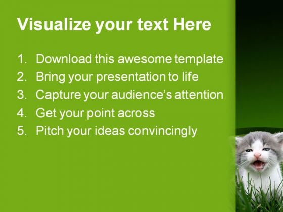 baby_cat_animals_powerpoint_themes_and_powerpoint_slides_0211_text
