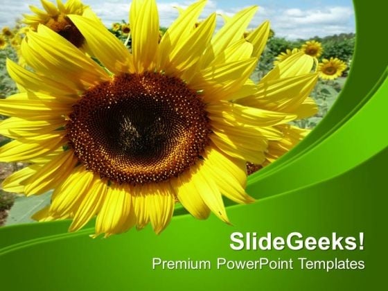 Background Template With Sunflower PowerPoint Templates Ppt Backgrounds For Slides 0513 Background Template With Sunflower PowerPoint Templates Ppt Backgrounds For Slides 0513