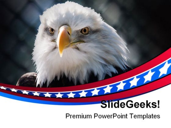 Bald Eagle Americana PowerPoint Themes And PowerPoint Slides 0311 Bald Eagle Americana PowerPoint Themes And PowerPoint Slides 0311