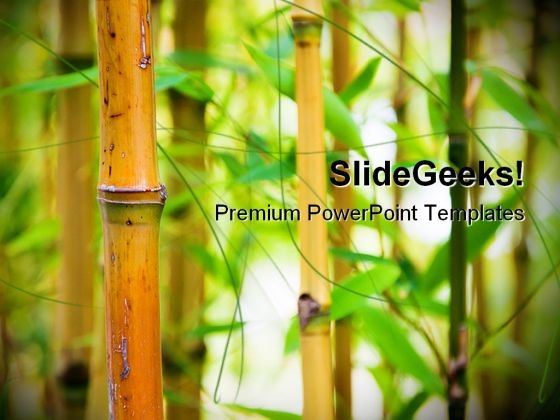 Bamboo Nature PowerPoint Templates And PowerPoint Backgrounds 0111 Bamboo Nature PowerPoint Templates And PowerPoint Backgrounds 0111