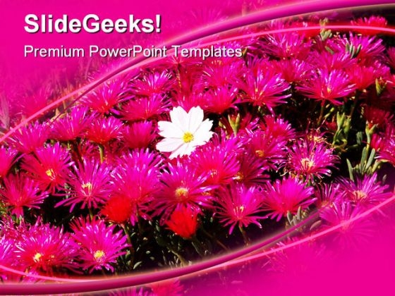 Be Different Flower Beauty PowerPoint Templates And PowerPoint Backgrounds 0311