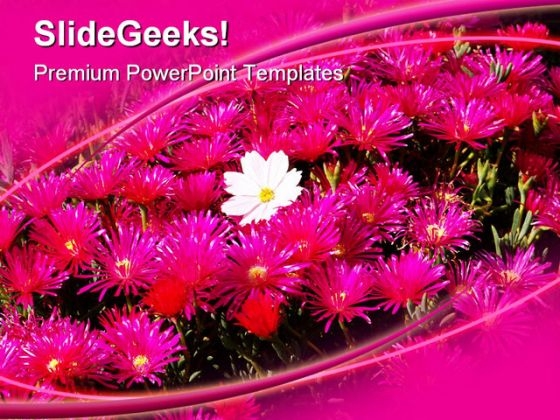 Be Different Flower Beauty PowerPoint Templates And PowerPoint Backgrounds 0311 Be Different Flower Beauty PowerPoint Templates And PowerPoint Backgrounds 0311