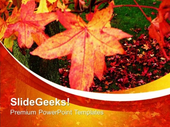 Beautiful Autumn Leaves PowerPoint Templates Ppt Backgrounds For Slides 0613 Beautiful Autumn Leaves PowerPoint Templates Ppt Backgrounds For Slides 0613