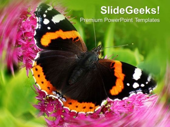 Beautiful Background With Butterfly PowerPoint Templates Ppt Backgrounds For Slides 0413 Beautiful Background With Butterfly PowerPoint Templates Ppt Backgrounds For Slides 0413