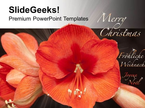 Beautiful Flowers For Wishes Merry Christmas PowerPoint Templates Ppt Backgrounds For Slides 0513