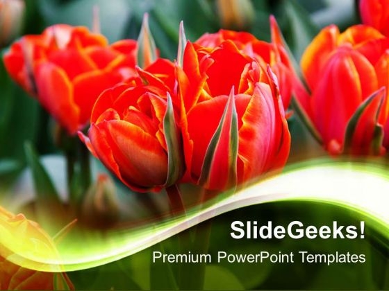 Beautiful Flowers Nature PowerPoint Templates And PowerPoint Themes 0512 Beautiful Flowers Nature PowerPoint Templates And PowerPoint Themes 0512