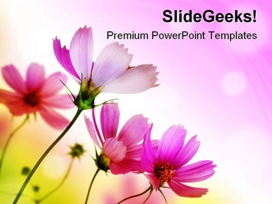 Beautiful Pink Flowers Beauty PowerPoint Templates And PowerPoint  Backgrounds 0411 - PowerPoint Templates