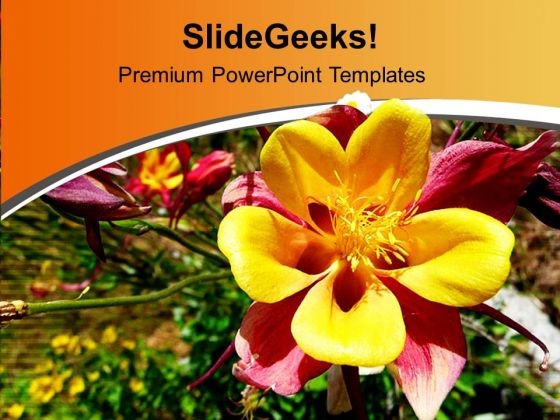 Beautiful Spring Flowers For Joy PowerPoint Templates Ppt Backgrounds For Slides 0613 Beautiful Spring Flowers For Joy PowerPoint Templates Ppt Backgrounds For Slides 0613