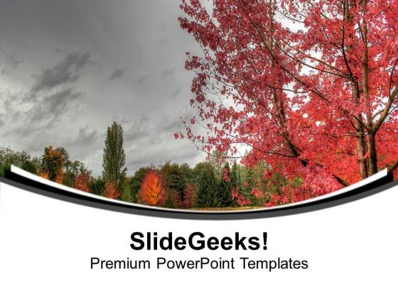 Beauty Of Nature With Autumn Background PowerPoint Templates Ppt Backgrounds For Slides 0613 Beauty Of Nature With Autumn Background PowerPoint Templates Ppt Backgrounds For Slides 0613