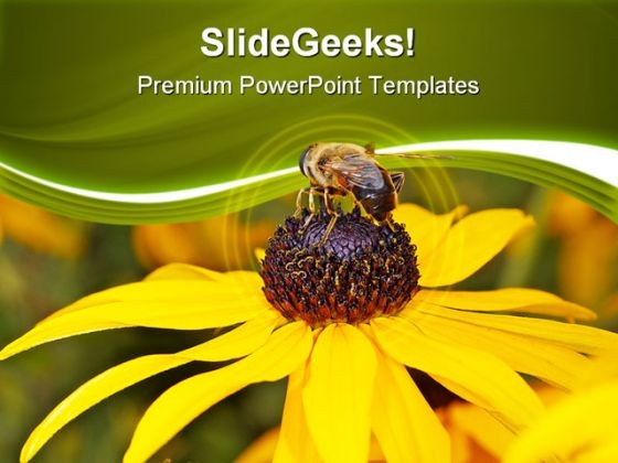 Bee On Yellow Flower Nature PowerPoint Templates And PowerPoint Backgrounds 0311 Bee On Yellow Flower Nature PowerPoint Templates And PowerPoint Backgrounds 0311
